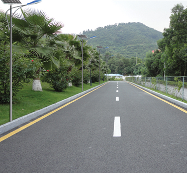 鄉(xiāng)鎮(zhèn)道路5米太陽能路燈 