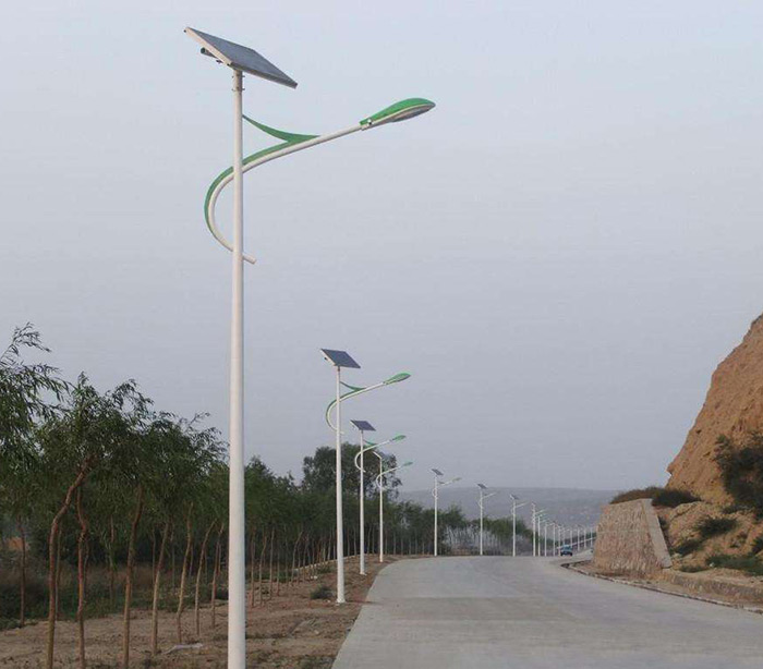 鄉(xiāng)鎮(zhèn)道路8米太陽能路燈 